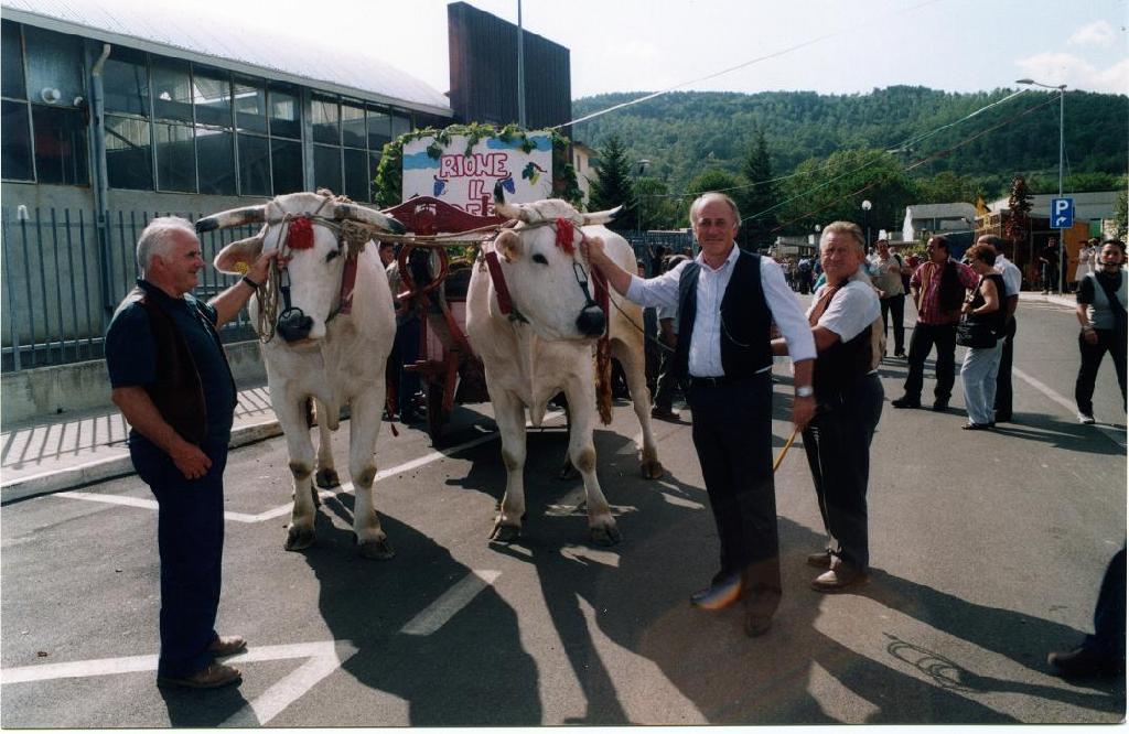 FestaUva (87).JPG